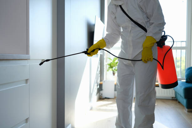 Best Kitchen Mold Remediation in Coldstream, OH